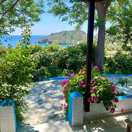 Studios Ioanna Limnionas Samos Μαραθόκαμπος Εξωτερικό φωτογραφία