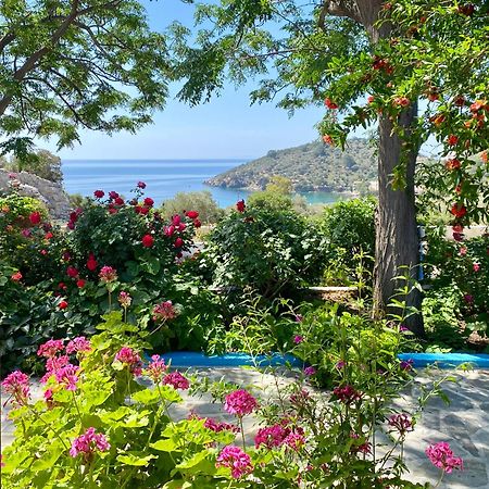 Studios Ioanna Limnionas Samos Μαραθόκαμπος Εξωτερικό φωτογραφία