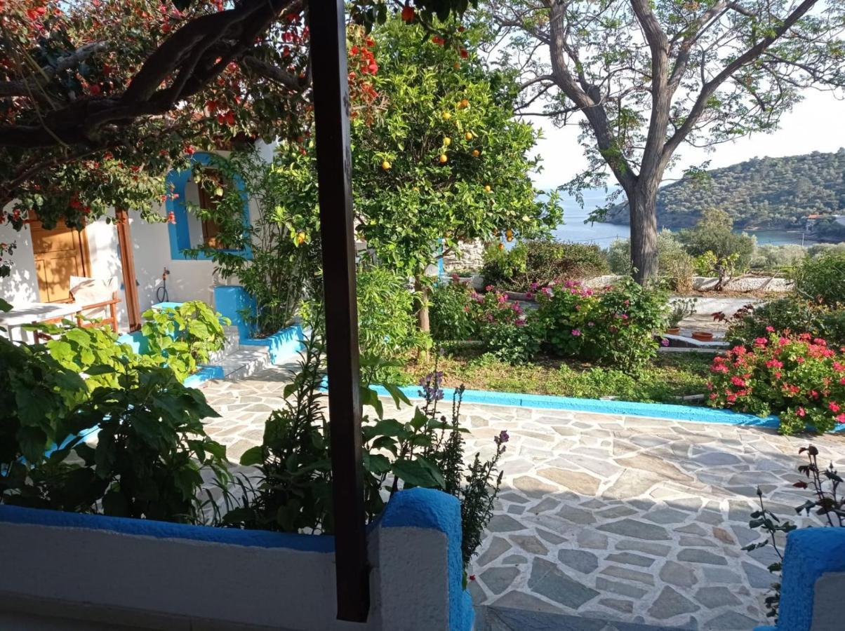 Studios Ioanna Limnionas Samos Μαραθόκαμπος Εξωτερικό φωτογραφία