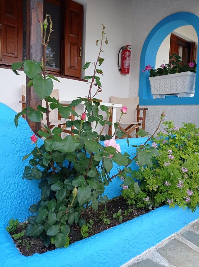 Studios Ioanna Limnionas Samos Μαραθόκαμπος Εξωτερικό φωτογραφία