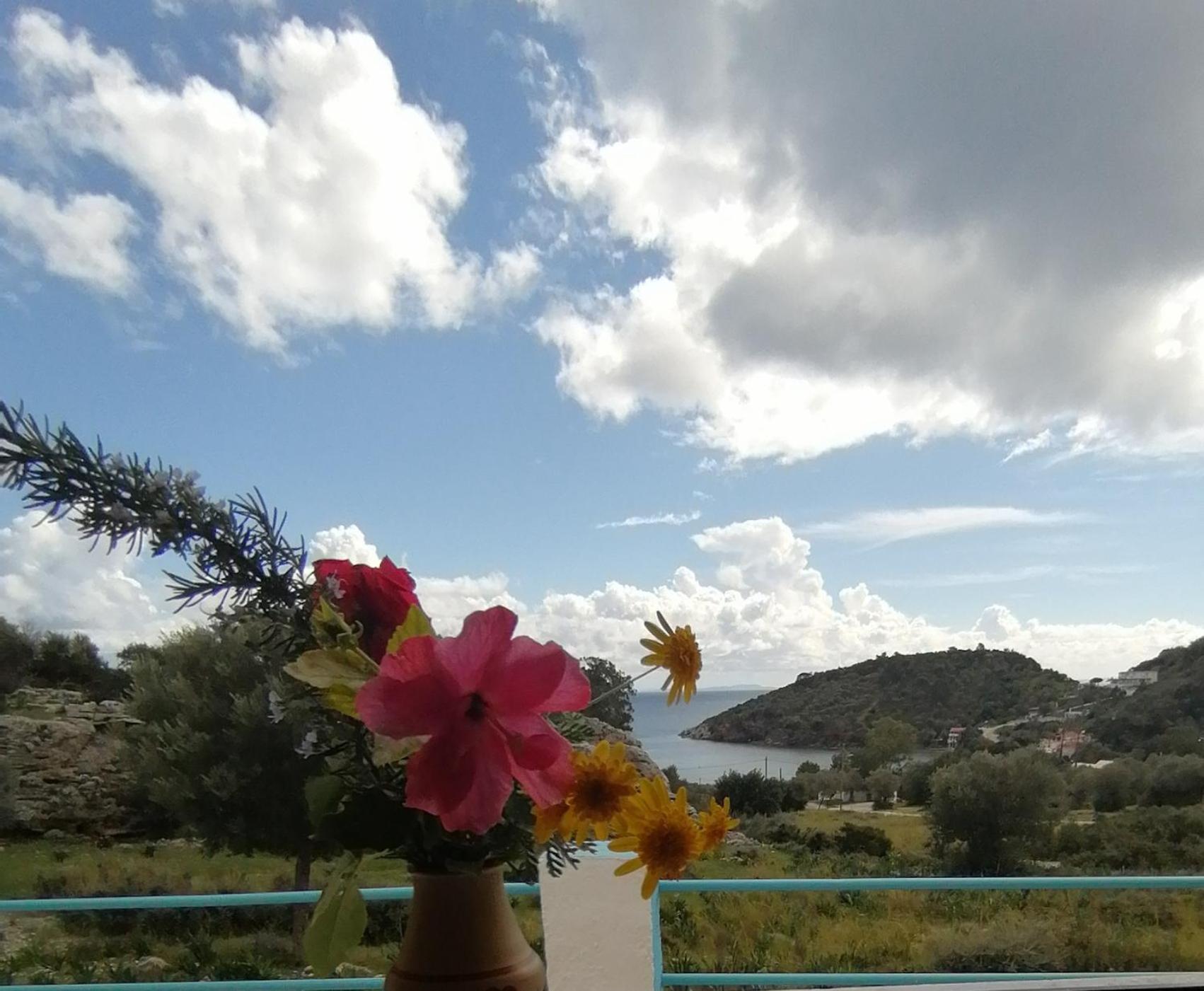 Studios Ioanna Limnionas Samos Μαραθόκαμπος Εξωτερικό φωτογραφία