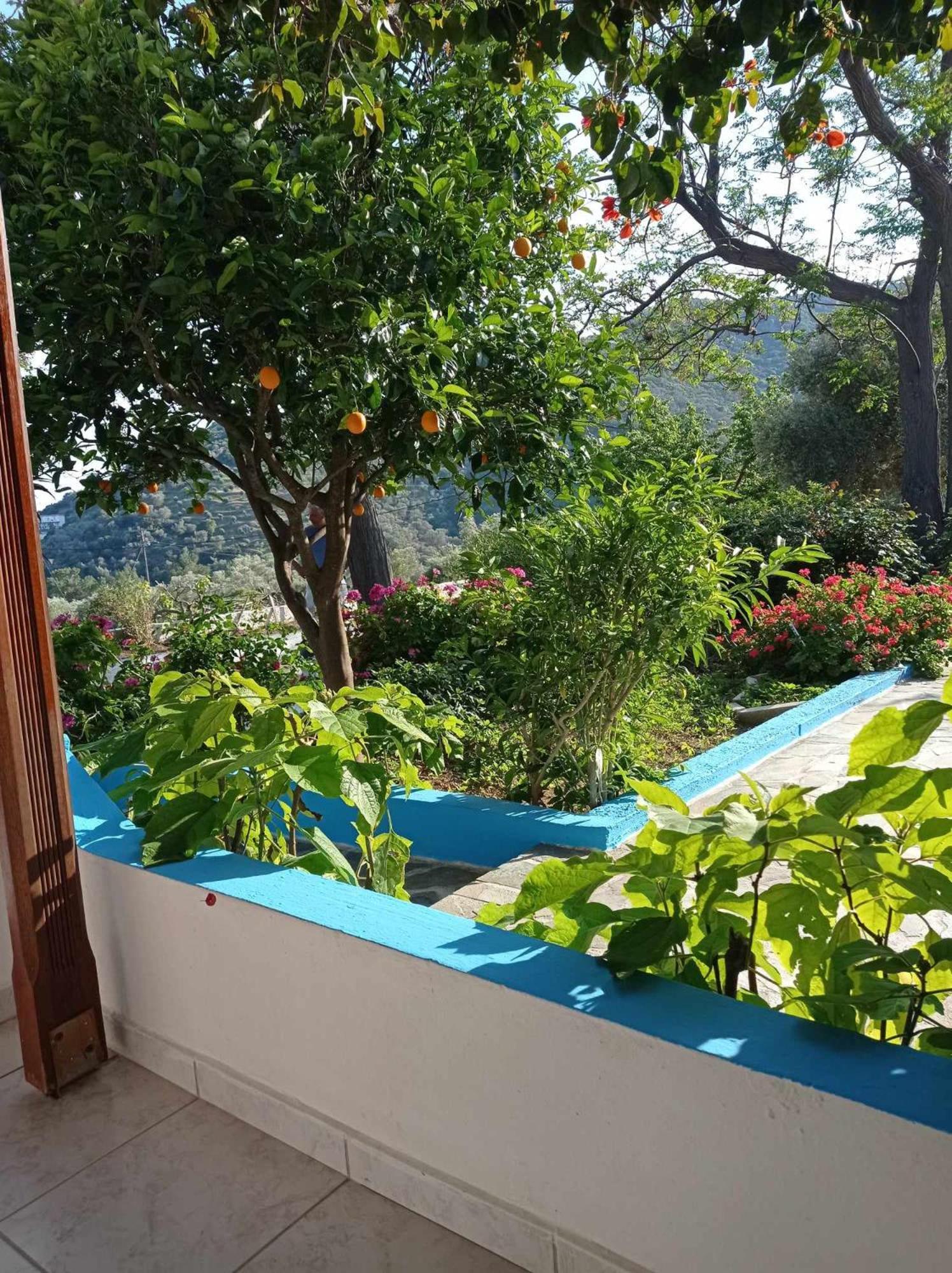 Studios Ioanna Limnionas Samos Μαραθόκαμπος Εξωτερικό φωτογραφία