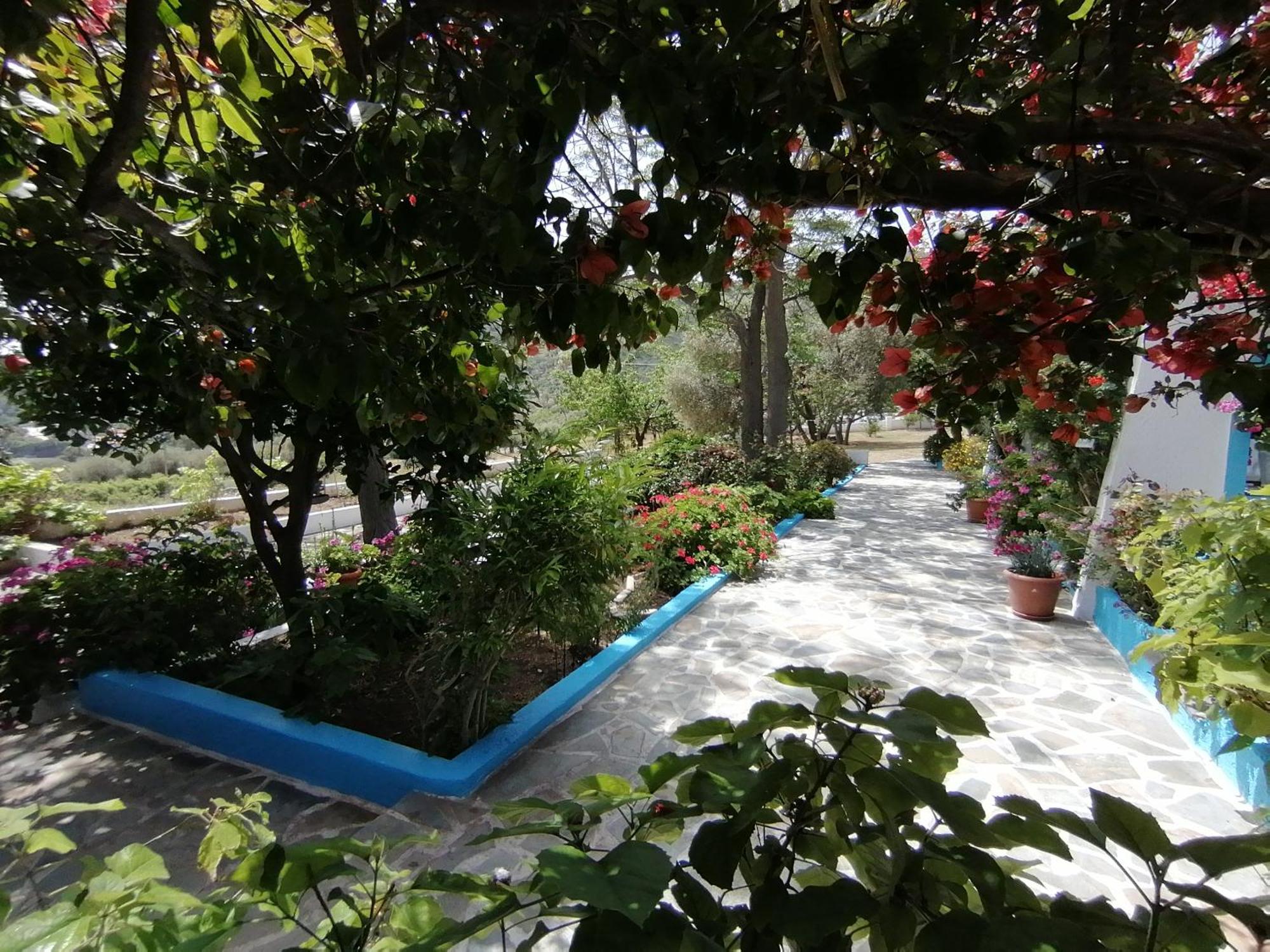 Studios Ioanna Limnionas Samos Μαραθόκαμπος Εξωτερικό φωτογραφία