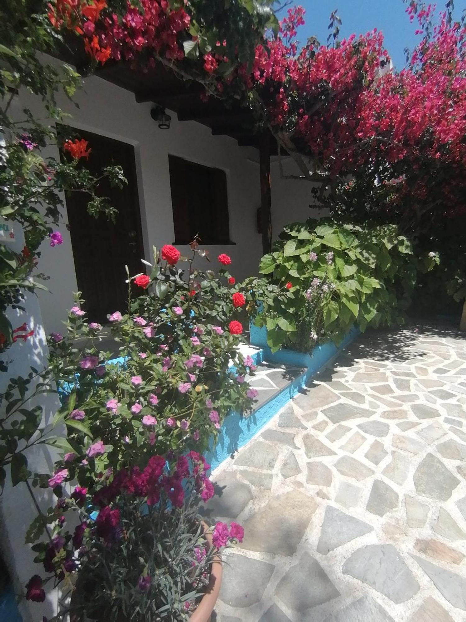 Studios Ioanna Limnionas Samos Μαραθόκαμπος Εξωτερικό φωτογραφία