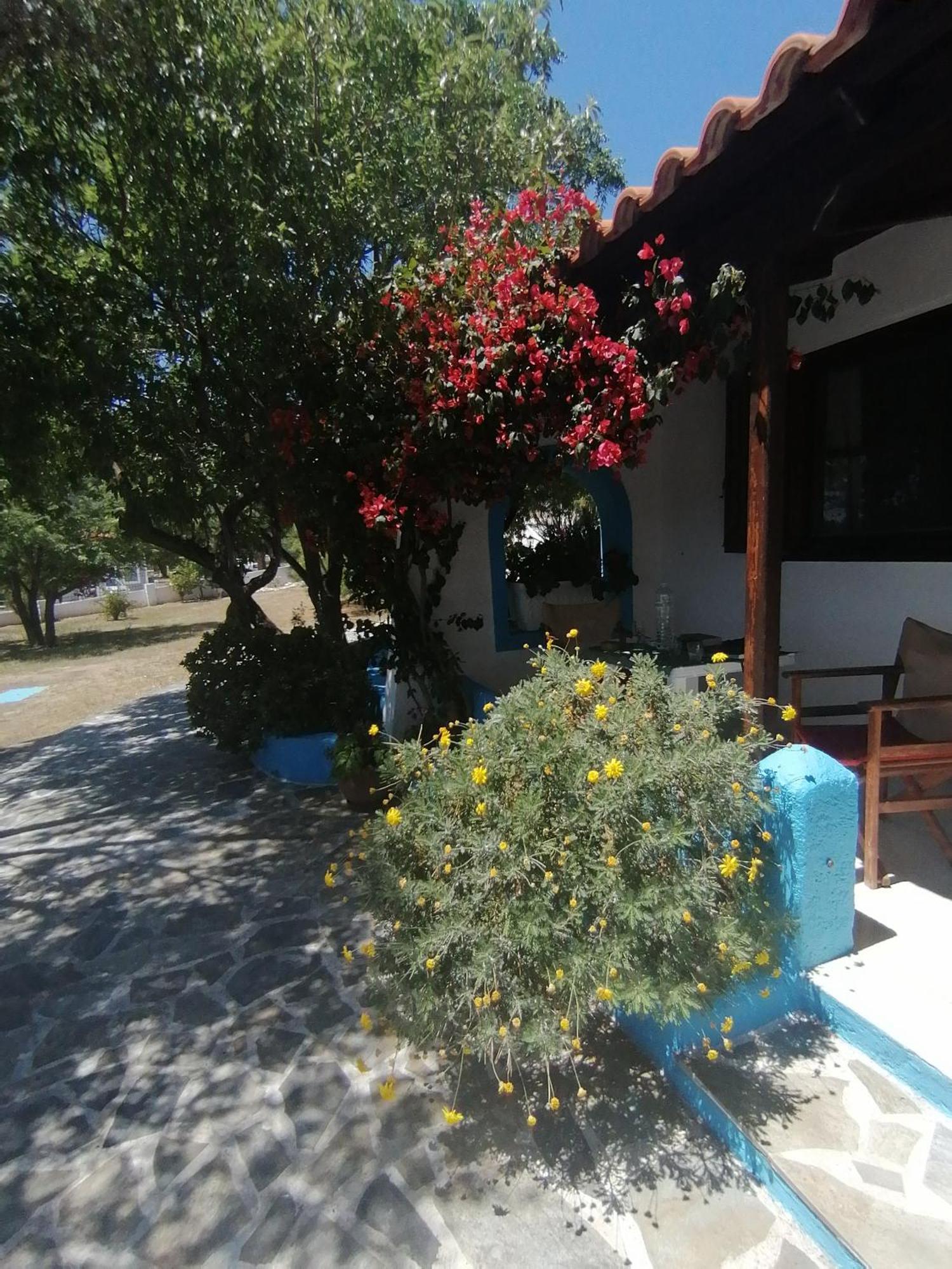 Studios Ioanna Limnionas Samos Μαραθόκαμπος Εξωτερικό φωτογραφία