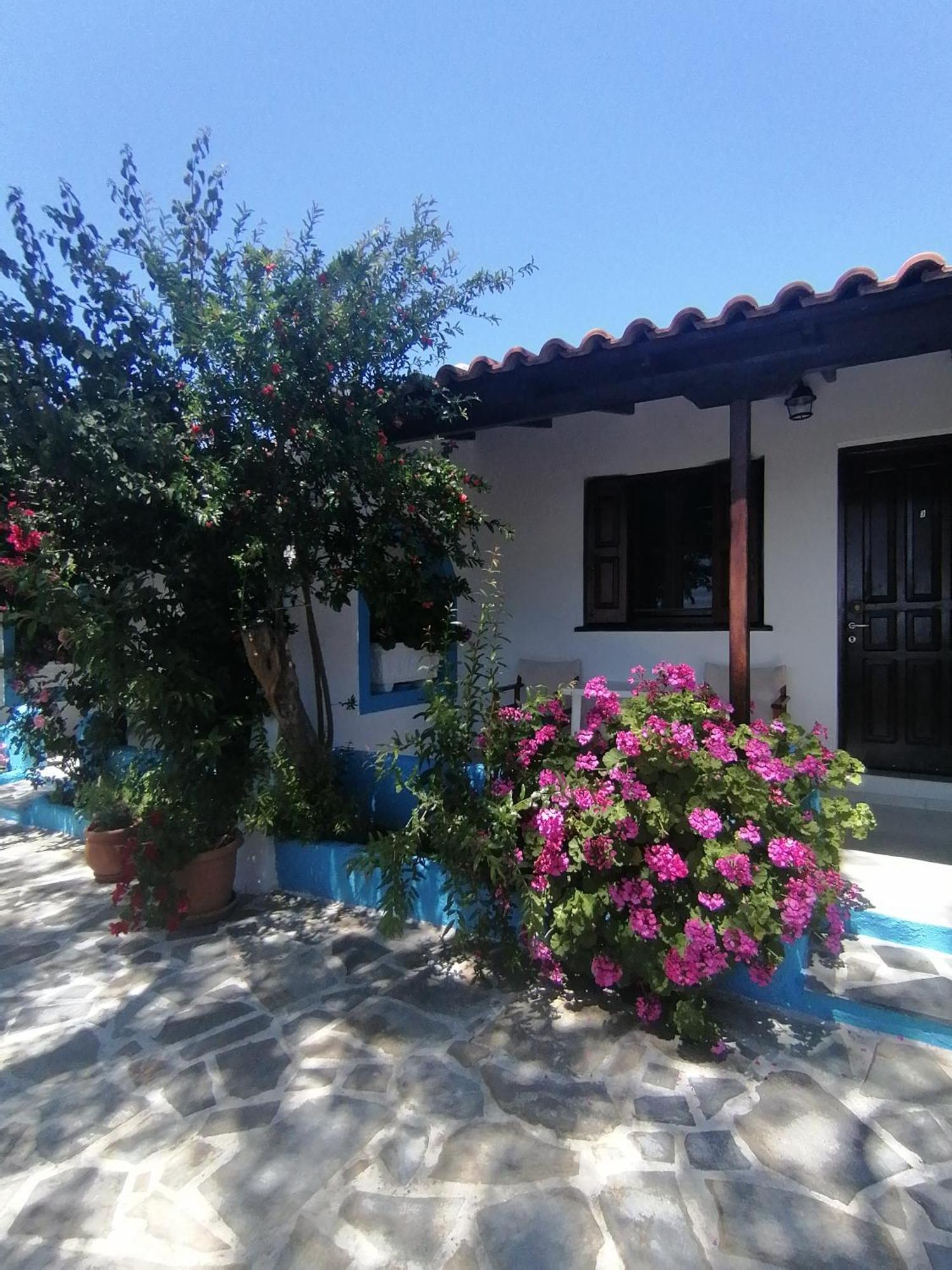 Studios Ioanna Limnionas Samos Μαραθόκαμπος Εξωτερικό φωτογραφία