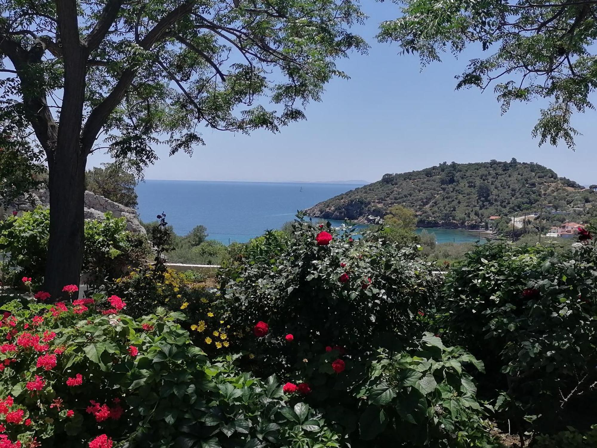 Studios Ioanna Limnionas Samos Μαραθόκαμπος Εξωτερικό φωτογραφία
