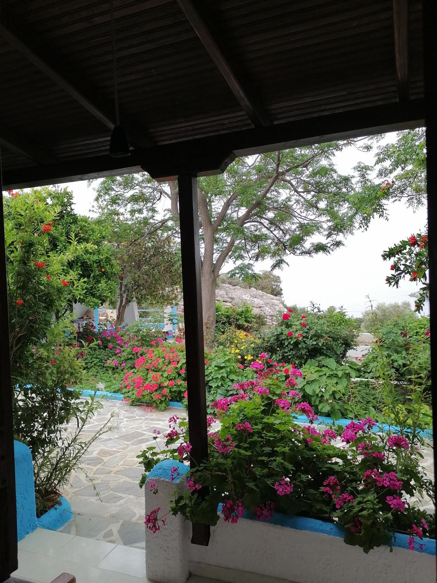 Studios Ioanna Limnionas Samos Μαραθόκαμπος Εξωτερικό φωτογραφία