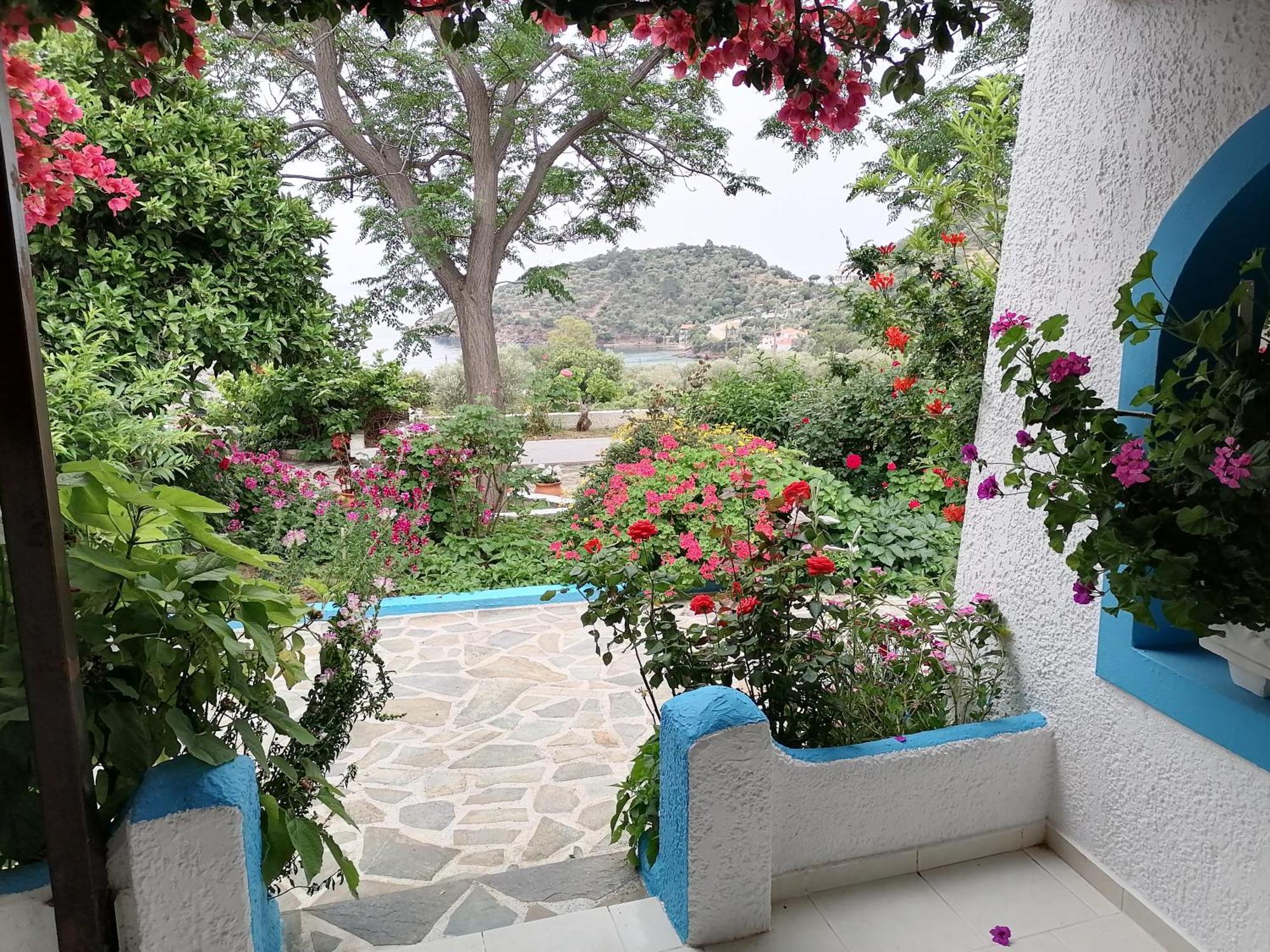 Studios Ioanna Limnionas Samos Μαραθόκαμπος Εξωτερικό φωτογραφία