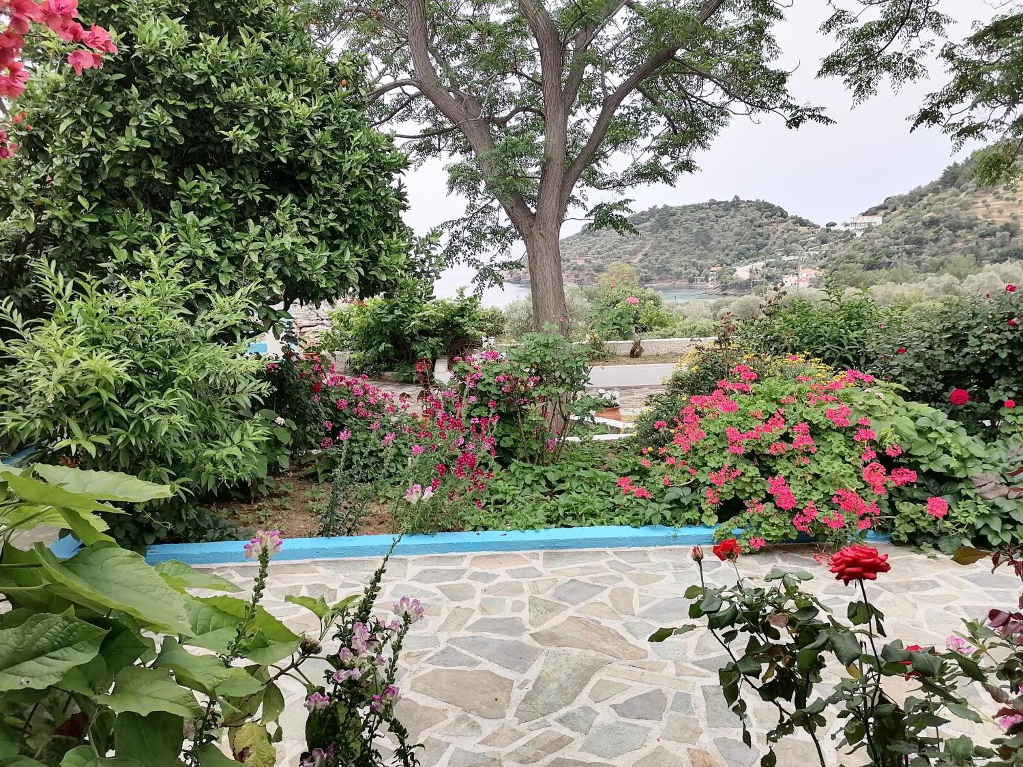 Studios Ioanna Limnionas Samos Μαραθόκαμπος Εξωτερικό φωτογραφία