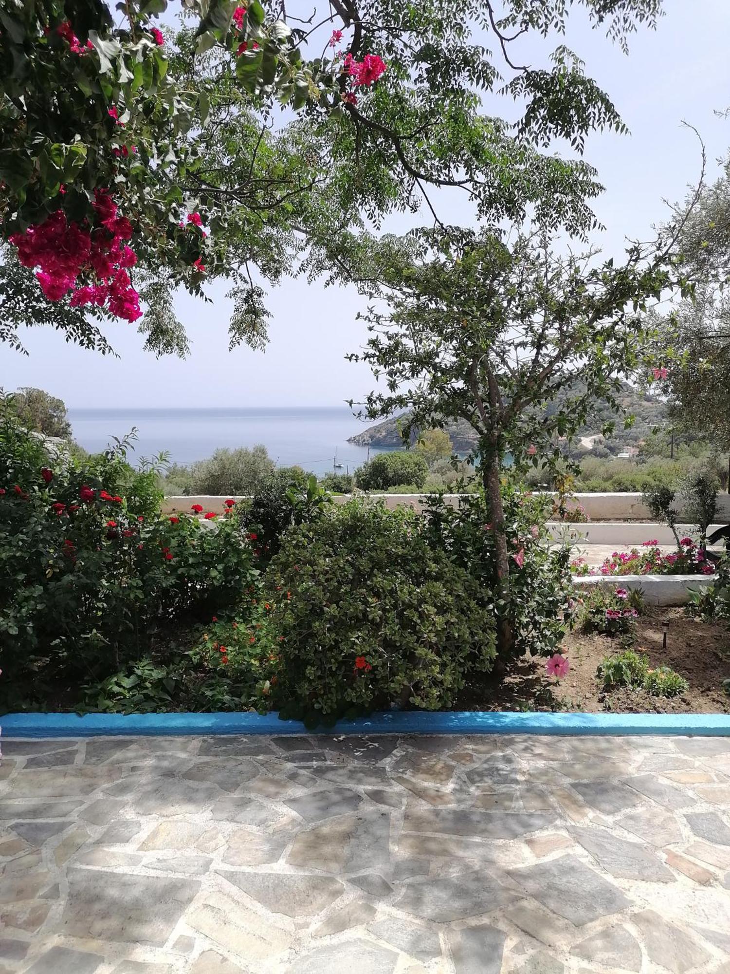 Studios Ioanna Limnionas Samos Μαραθόκαμπος Εξωτερικό φωτογραφία
