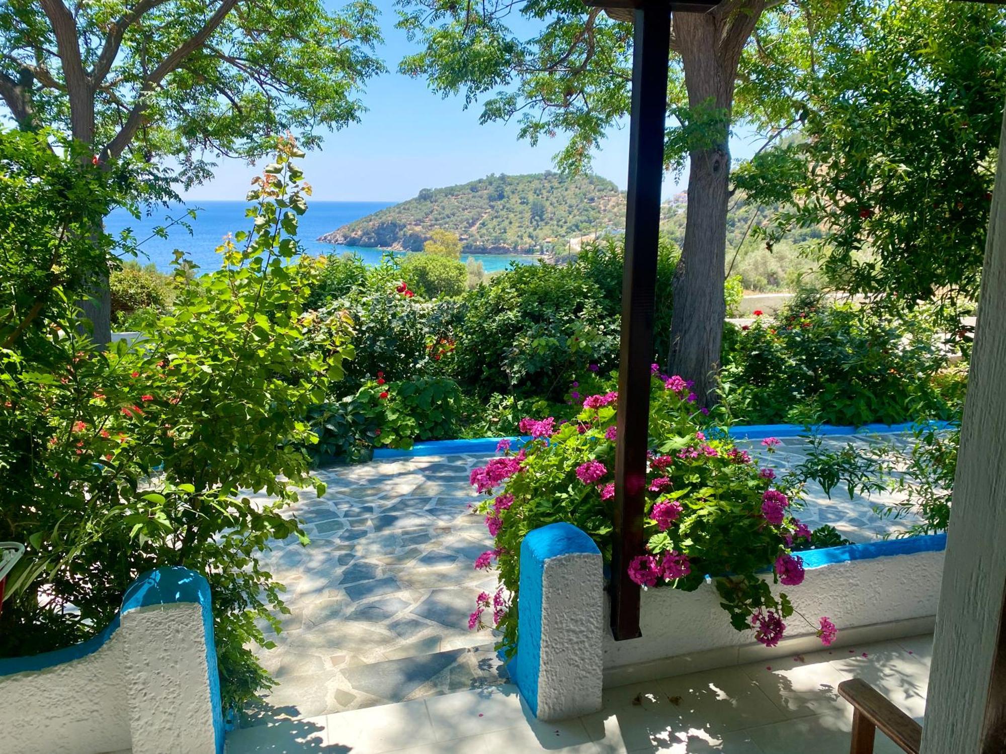 Studios Ioanna Limnionas Samos Μαραθόκαμπος Εξωτερικό φωτογραφία