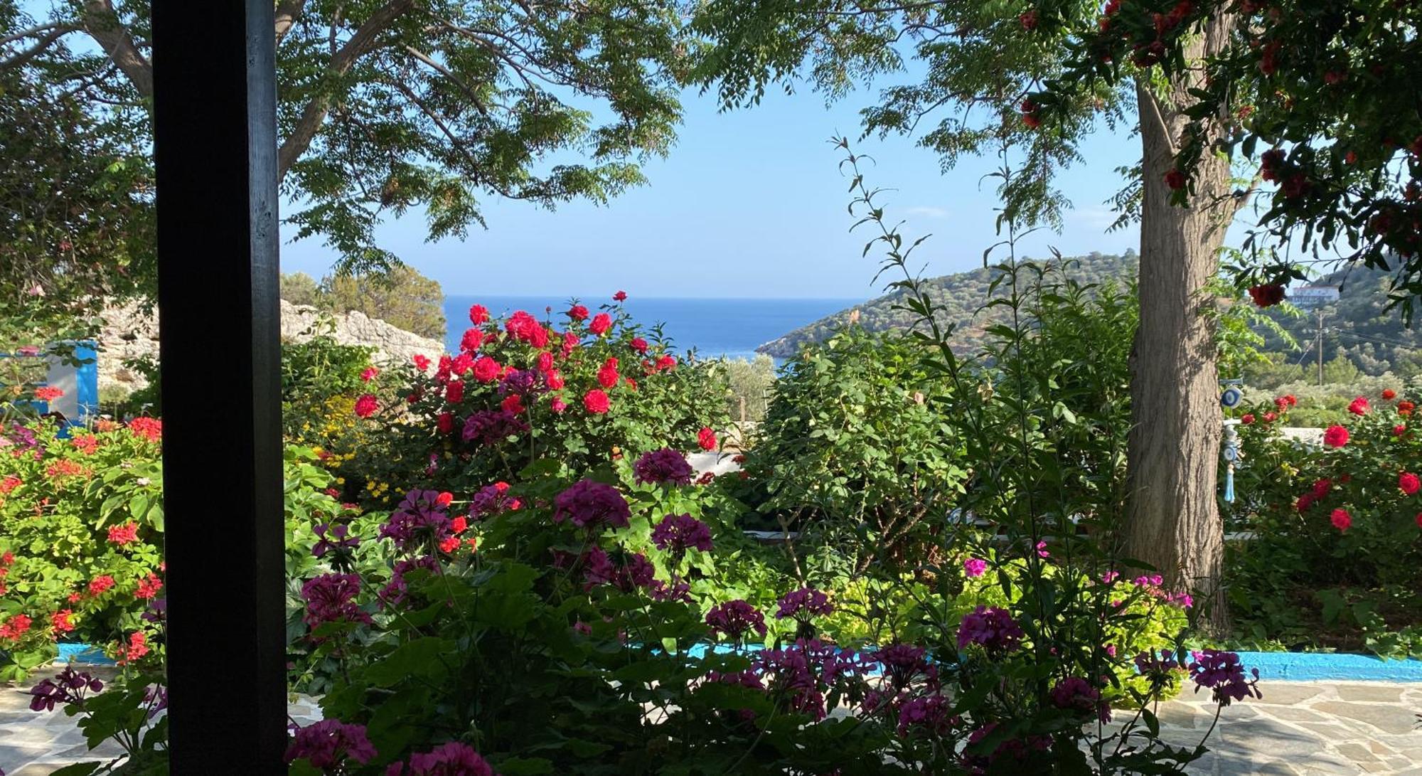 Studios Ioanna Limnionas Samos Μαραθόκαμπος Εξωτερικό φωτογραφία