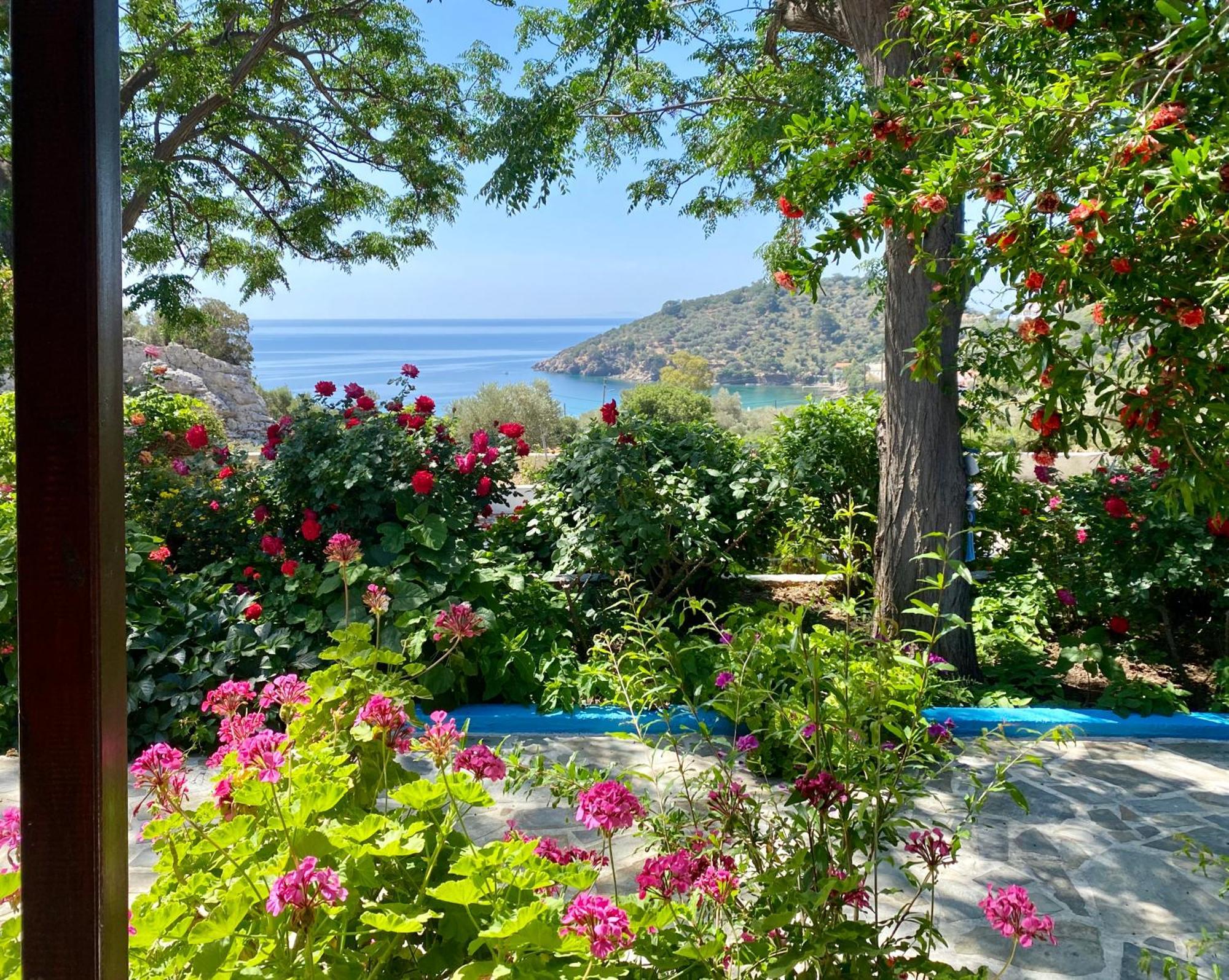 Studios Ioanna Limnionas Samos Μαραθόκαμπος Εξωτερικό φωτογραφία