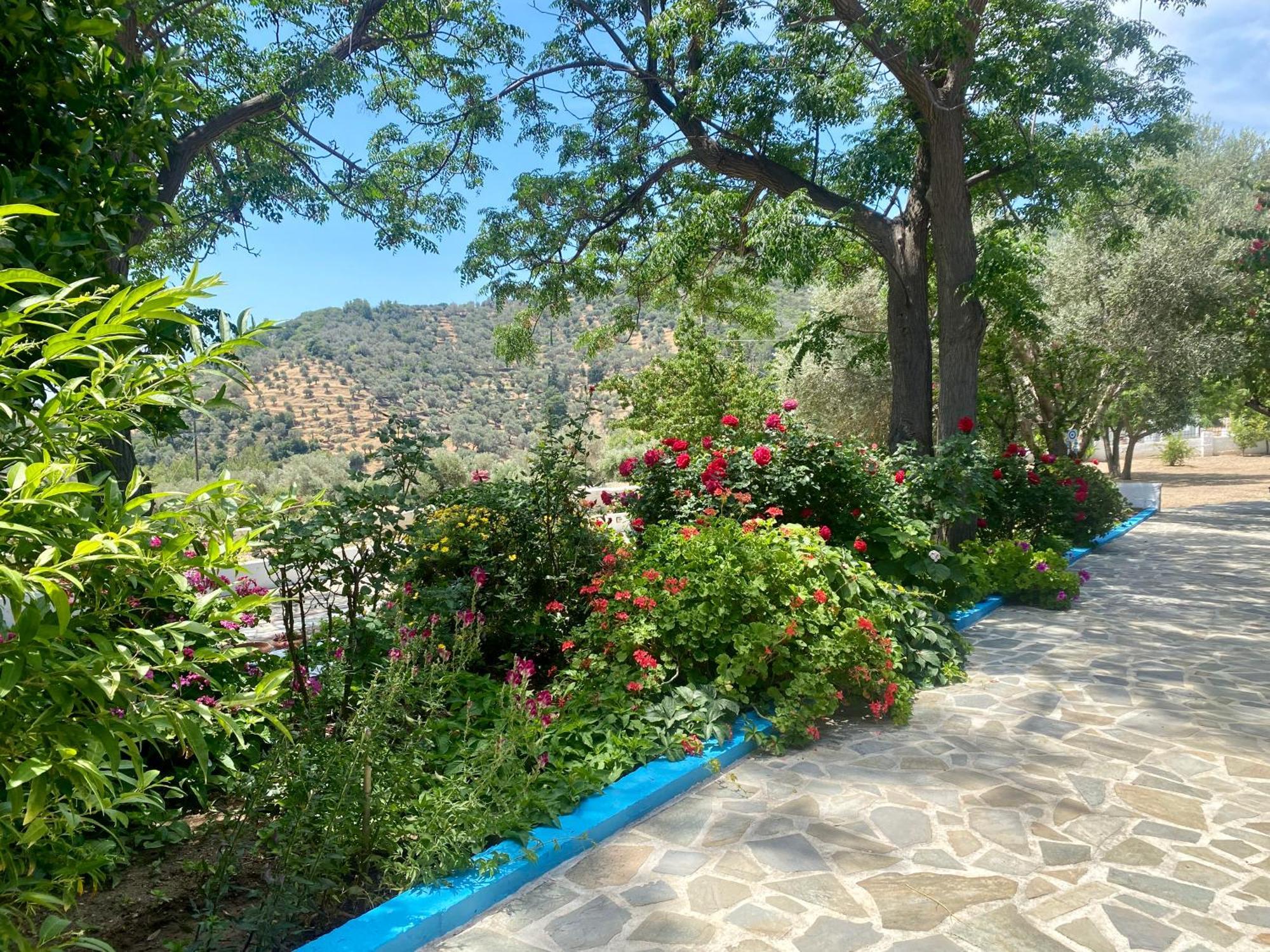 Studios Ioanna Limnionas Samos Μαραθόκαμπος Εξωτερικό φωτογραφία